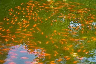 实时RPG《Scars of Mars》6月20日登陆PC Steam