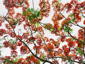 《卧底公民》已登陆PS4＆5 Steam获特别好评